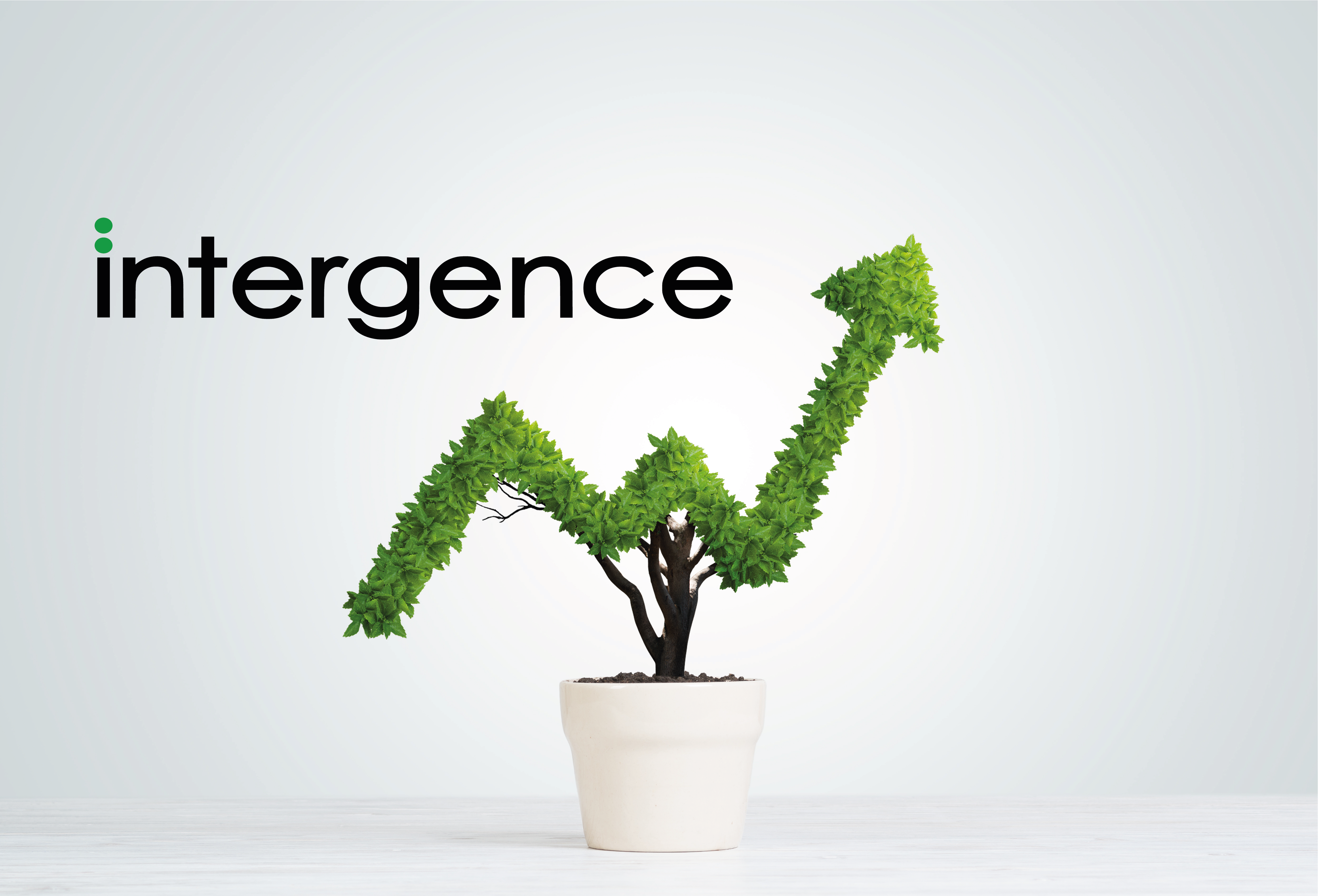 Importance of information technology services